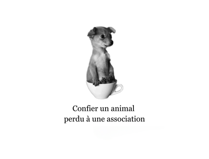 Confier son animal à une association