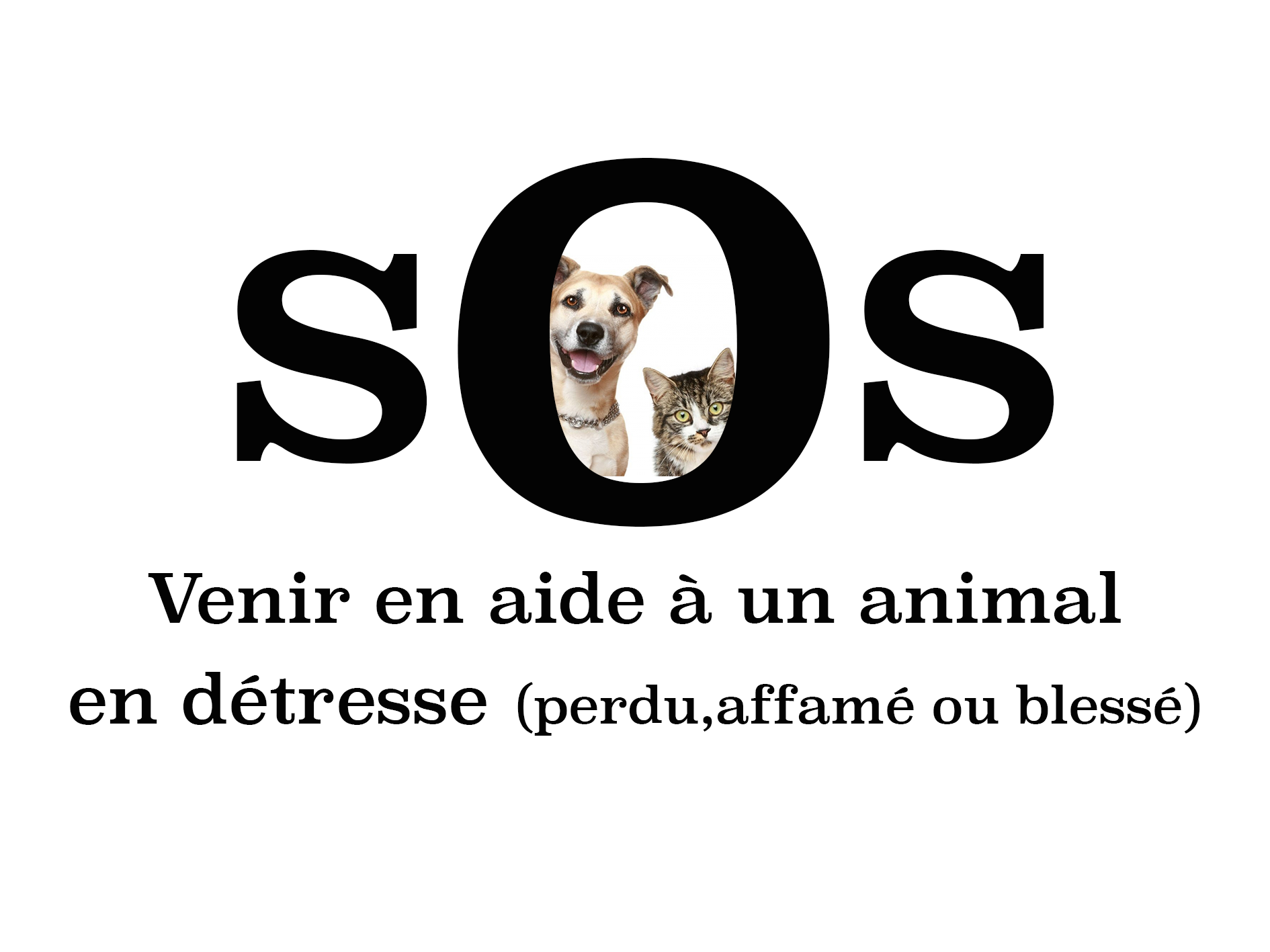 Protéger les animaux