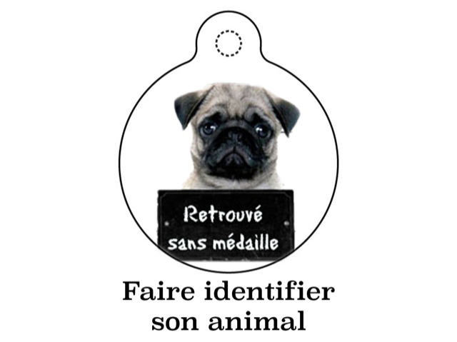 Faire identifier son animal