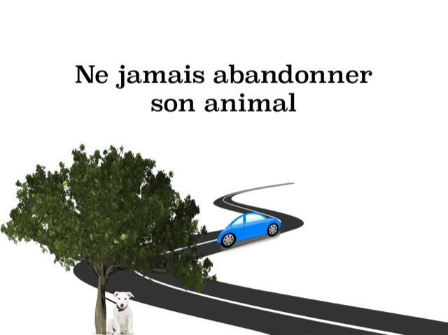 Jamais abandonner son animal