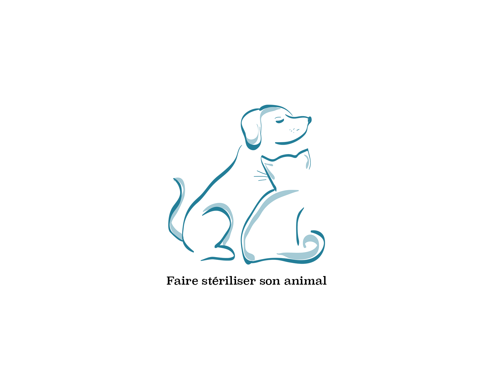 Faire stériliser son animal