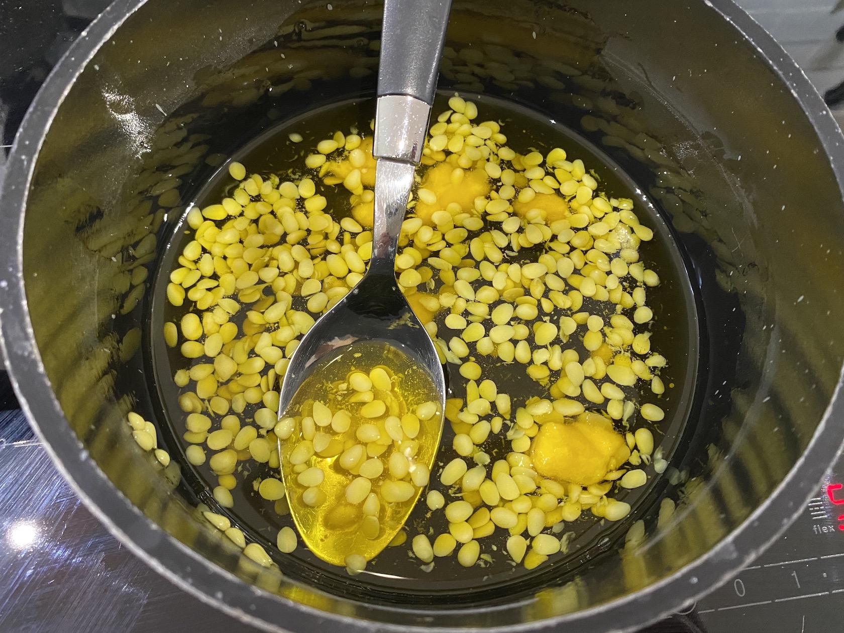 Baume coussinets chien à faire soi-même - Le Fonds Saint-Bernard