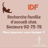 92, 75, 78 uniquement - recherche FA chats !