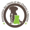 AIDE AU SECRETARIAT DE L'ASSOCIATION