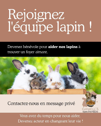 Bénévoles Lapins