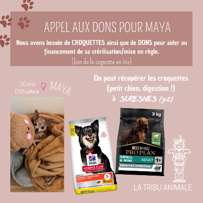 Besoin de CROQUETTES pour petit chien !! IDF