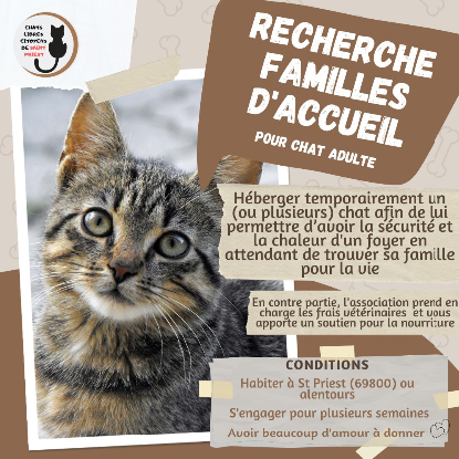 Cherche famille d'accueil autour de Saint Priest 69800