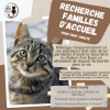 Cherche famille d'accueil autour de Saint Priest 69800