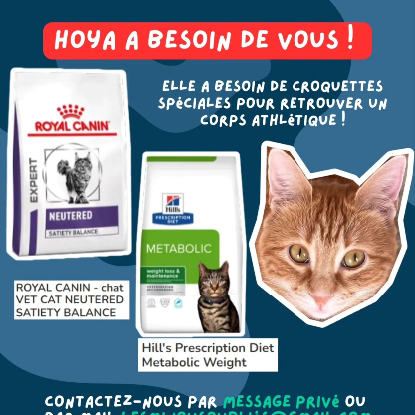 Croquettes metabolic