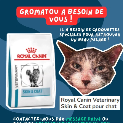 Croquettes SKIN & COAT