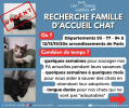 Devenez famille d'accueil pour LES MINOUS OUBLIES