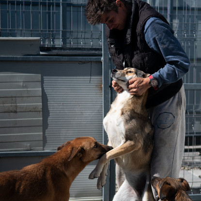Adopter Diane