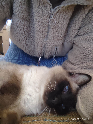 FA RECHERCHEE SUR 94 / 77 / 93