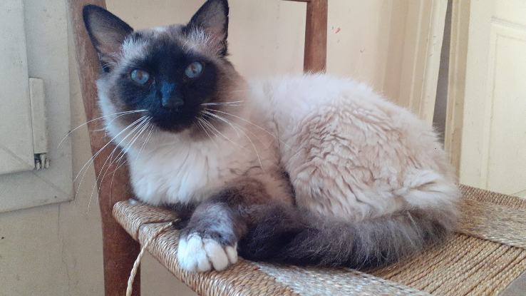 Image FA RECHERCHEE SUR 94 / 77 / 93