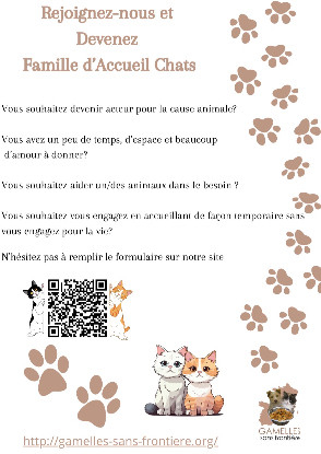 Famille d’accueil Chat