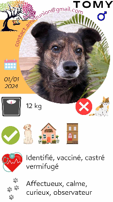 Famille d'accueil pour Tomy