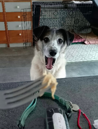 Adoption Faye