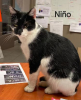 Niño