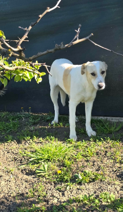 Adopter Marilou