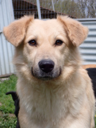 Adopter Popsy