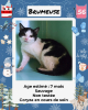 Adopter  chat : Brumeuse