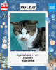 Adopter  chat : Frileux