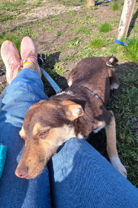 Adopter Timmy