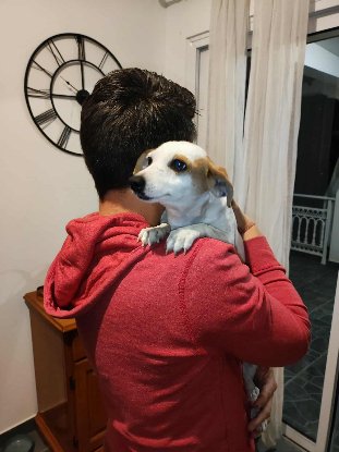 Adoption Pitaya