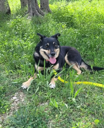 Adoption Talya