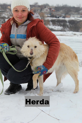 Adoption Herba
