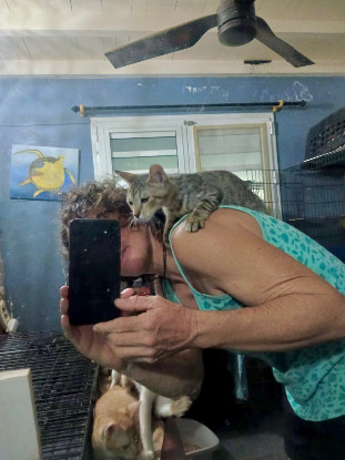 Adoption Crabouillette