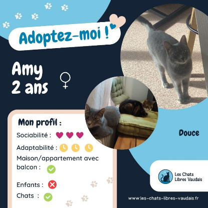 Adopter Amy