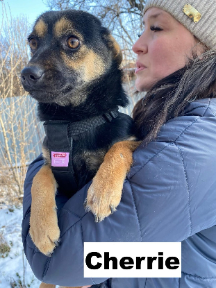 Adopter Cherrie