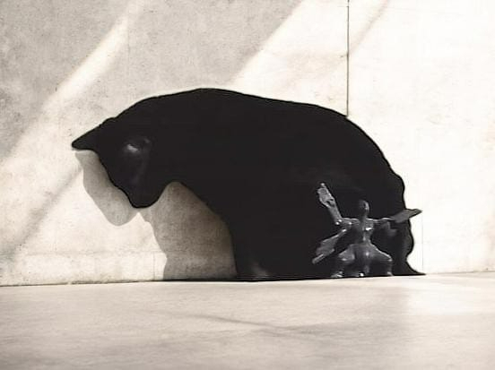 Adoption Akira et anémone