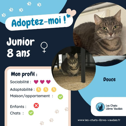 Adopter Junior