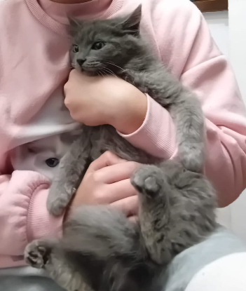 Adopter Vicente et doncella