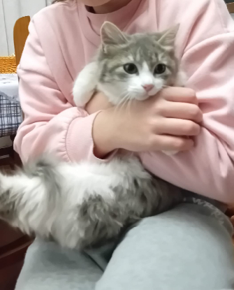 Adopter Vicente et doncella