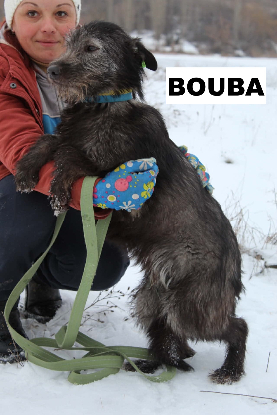 Adopter Bouba