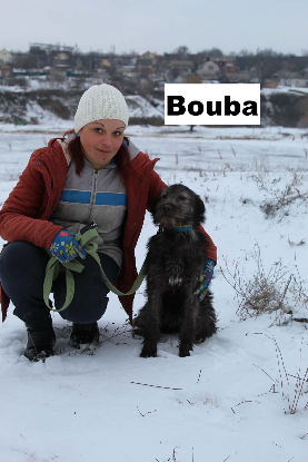 Adopter Bouba