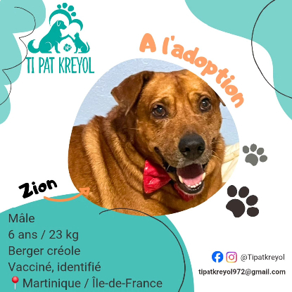 Adopter Zion