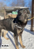 Kira