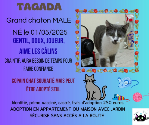 Adopter Tagada