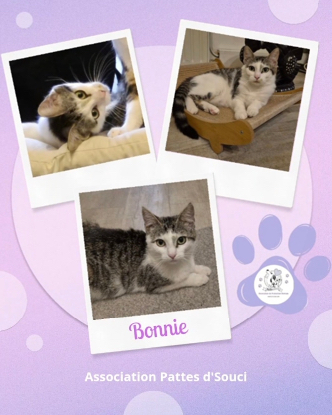 Adopter Bonnie