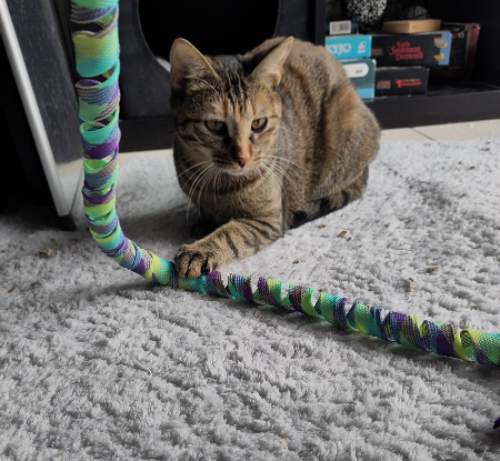 Adopter Athéna