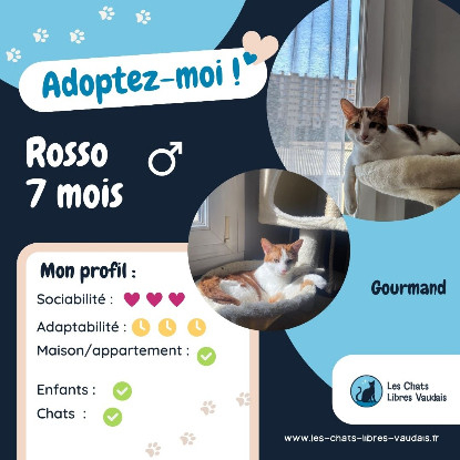 Adopter Rosso