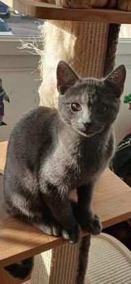 Adopter Mia et mochi