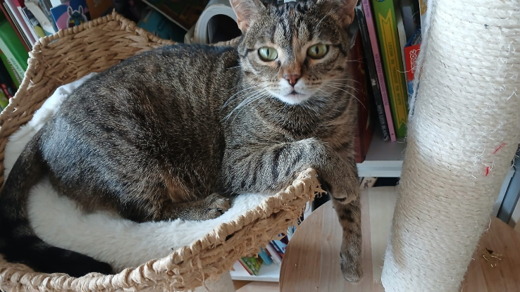 Adopter Mia et mochi