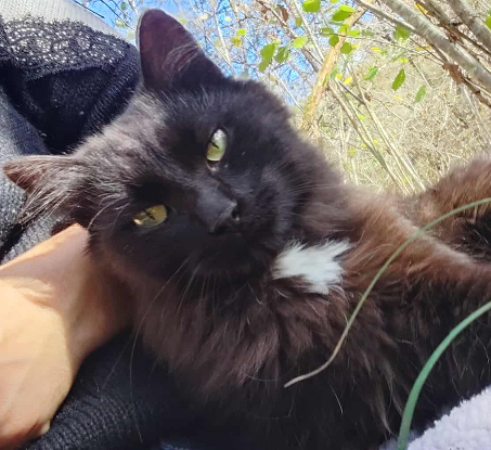 Adoption Zouby 2 ans