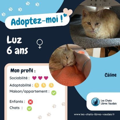 Adopter Luz