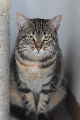 Adopter Grace et elvira